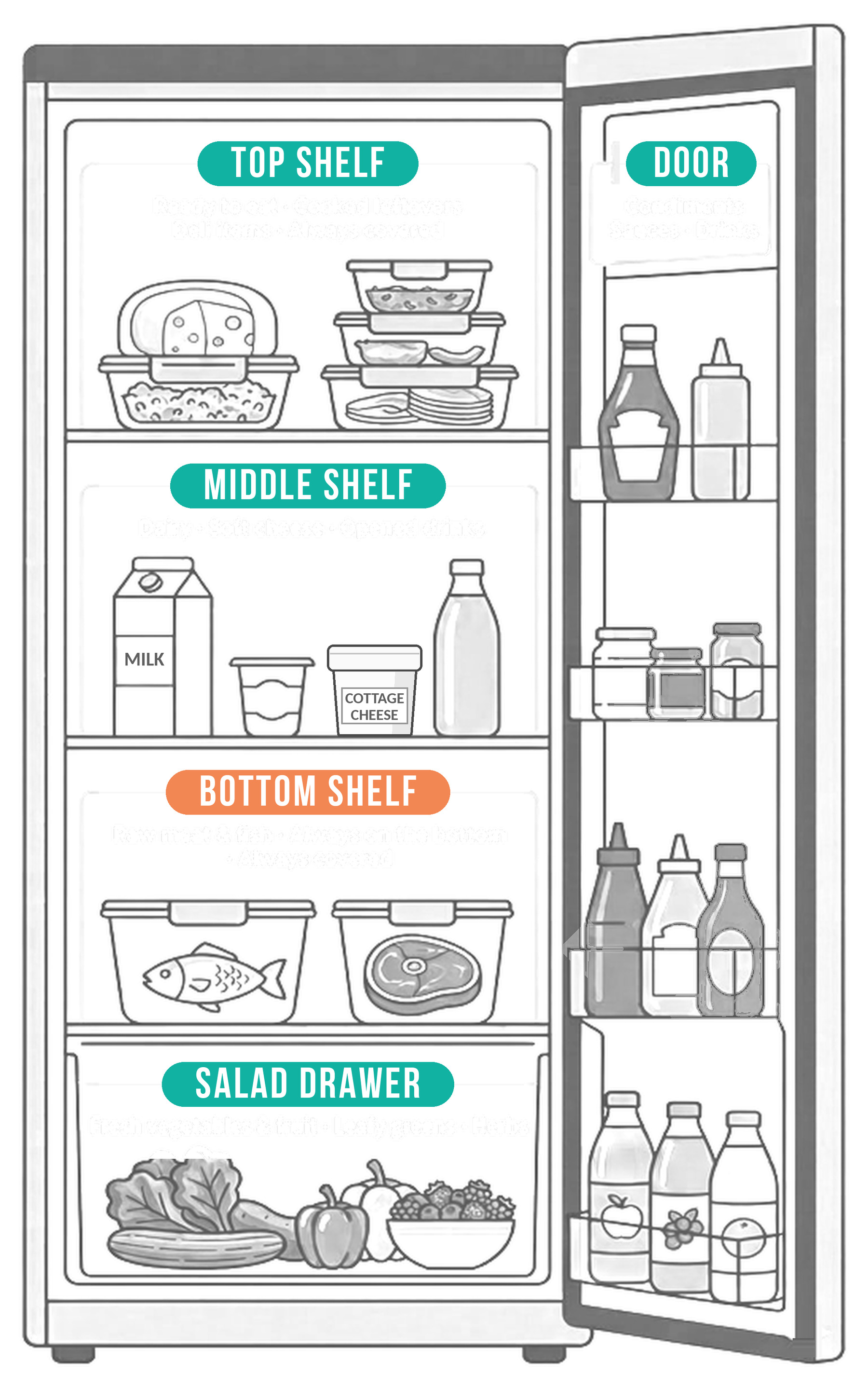 Diagram of an open fridge with its zones labelled: top shelf, middle shelf, bottom shelf, salad drawer and door