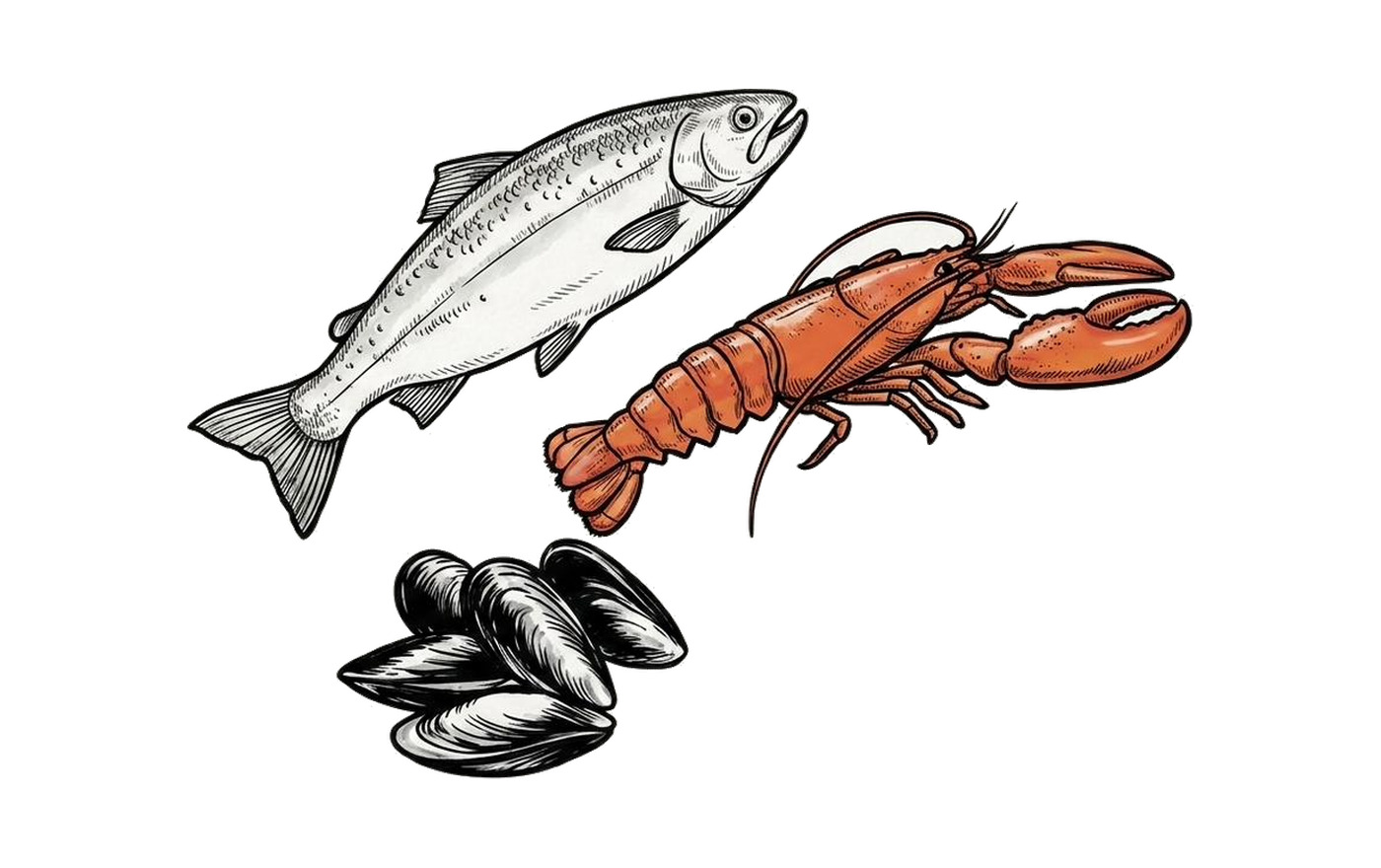 A fish, a lobster and mussels